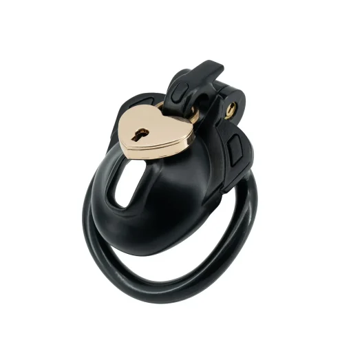 Gaiola de Castidade com Trava Dupla Double Lock Chastity Cage - Image 5