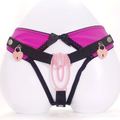 Calcinha Auxiliar de Cinto de Castidade Chastity Lock Auxiliary Belt Panties - Image 3